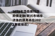 2023年岱岳债权政府债定融(新兴市场经济体的债务将在2021年底接近)