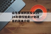 山东邹城利民投资2024年债权拍卖计划项目的简单介绍