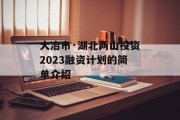 大冶市·湖北两山投资2023融资计划的简单介绍