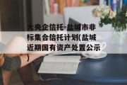 大央企信托-盐城市非标集合信托计划(盐城近期国有资产处置公示)