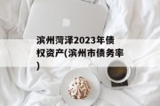 滨州菏泽2023年债权资产(滨州市债务率)