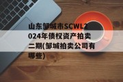 山东邹城市SCWL2024年债权资产拍卖二期(邹城拍卖公司有哪些)