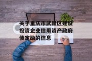 关于重庆市武隆区建设投资企业信用资产政府债定融的信息