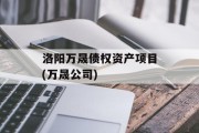 洛阳万晟债权资产项目(万晟公司)