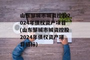 山东邹城市城资控股2024年债权资产项目(山东邹城市城资控股2024年债权资产项目招标)