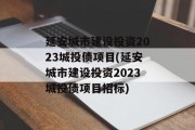 延安城市建设投资2023城投债项目(延安城市建设投资2023城投债项目招标)