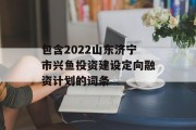 包含2022山东济宁市兴鱼投资建设定向融资计划的词条