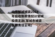 山东邹城城资2024年应收账款债权计划城投债定融(邹城市城资有限责任公司)