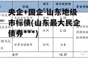 央企+国企-山东地级市标债(山东最大民企债券***)