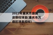2023年重庆万盛国资债权项目(重庆市万盛区项目招标)