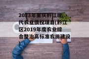 2023年重庆黔江现代农业债权项目(黔江区2019年度农业综合整治高标准农田建设)