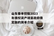 山东泰丰控股2023年债权资产项目政府债定融的简单介绍