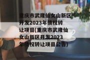 重庆市武隆仙女山新区开发2023年债权转让项目(重庆市武隆仙女山新区开发2023年债权转让项目公告)