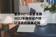 重庆DZYS实业发展2023年债权资产转让项目的简单介绍