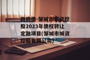 政府债-邹城市城资控股2023年债权转让定融项目(邹城市城资控股有限公司)