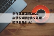 焦作弘正发投2023年债权项目(债权处理的项目是什么)