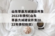 山东莘县方诚建设开发2022年债权(山东莘县方诚建设开发2022年债权投资)