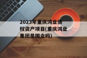 2023年重庆鸿业债权资产项目(重庆鸿业集团是国企吗)