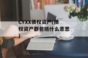 CYXX债权资产(债权资产都包括什么意思)