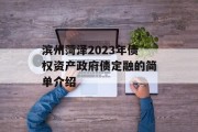 滨州菏泽2023年债权资产政府债定融的简单介绍