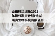 山东硕运城投2023年债权融资计划(运城硕海生物科技有限公司)