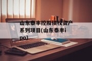 山东泰丰控股债权资产系列项目(山东泰丰ipo)