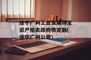 遂宁广利工业发展特定资产拍卖政府债定融(遂宁广利公司)