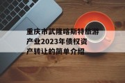 重庆市武隆喀斯特旅游产业2023年债权资产转让的简单介绍