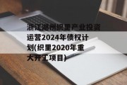 浙江湖州织里产业投资运营2024年债权计划(织里2020年重大开工项目)