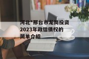 河北*邢台市龙岗投资2023年政信债权的简单介绍
