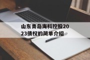山东青岛海科控股2023债权的简单介绍