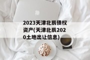 2023天津北辰债权资产(天津北辰2020土地出让信息)