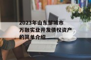 2023年山东邹城市万融实业开发债权资产的简单介绍