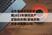 山东邹城市利民建设发展2023年债权资产定融政府债(邹城市利民置业有限公司)