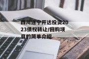 四川遂宁开达投资2023债权转让/回购项目的简单介绍