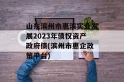 山东滨州市惠滨实业发展2023年债权资产政府债(滨州市惠企政策平台)