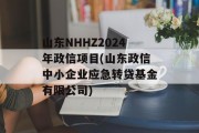 山东NHHZ2024年政信项目(山东政信中小企业应急转贷基金有限公司)