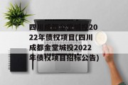 四川成都金堂城投2022年债权项目(四川成都金堂城投2022年债权项目招标公告)