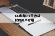 XX水务D-1号收益权的简单介绍