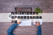 四川CAWY管理债权资产政府债定融的简单介绍