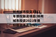 林州城市投资2023年债权融资项目(林州城市投资2023年债权融资项目招标)