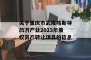 关于重庆市武隆喀斯特旅游产业2023年债权资产转让项目的信息