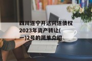 四川遂宁开达兴遂债权2023年资产转让(一)2号的简单介绍