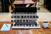 重庆市武隆仙女山新区开发2022年债权转让项目(重庆市武隆仙女山新区开发2022年债权转让项目公告)