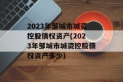 2023年邹城市城资控股债权资产(2023年邹城市城资控股债权资产多少)