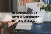 山东潍河城投2023债权(山东潍河城投2023债权转让公告)