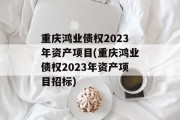 重庆鸿业债权2023年资产项目(重庆鸿业债权2023年资产项目招标)