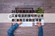 2023年重庆潼南区工业投资的债权转让项目(潼南工业园区项目)