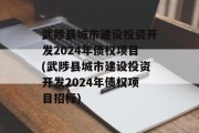 武陟县城市建设投资开发2024年债权项目(武陟县城市建设投资开发2024年债权项目招标)