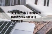 关于寿光市昇景海洋发展债权2023融资计划的信息